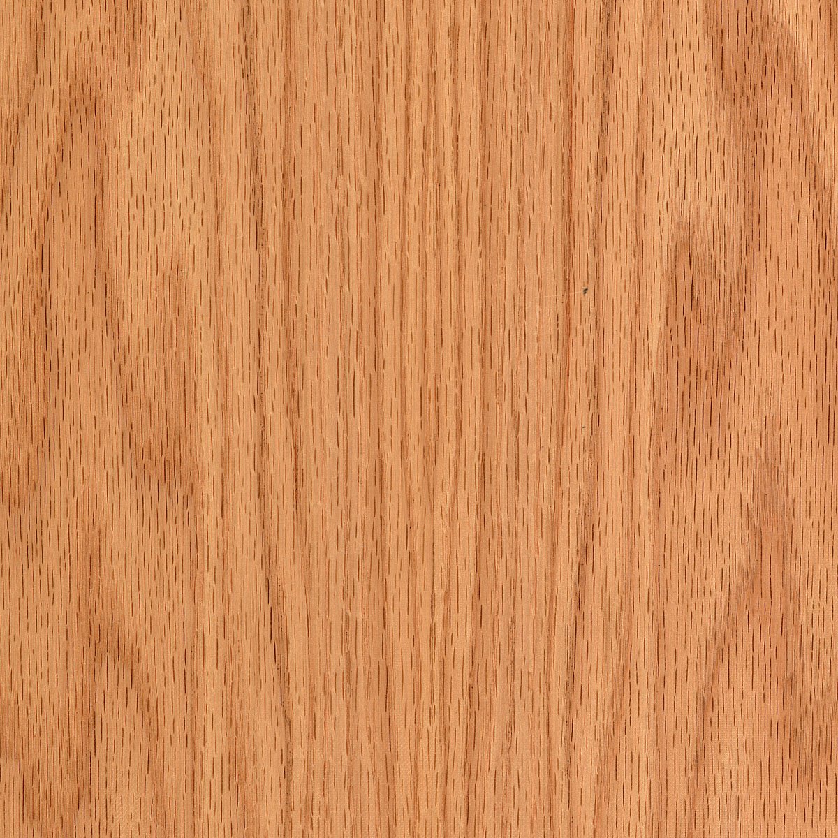 Oak Wood Texture